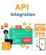 Web API Integration Company in Delhi, India